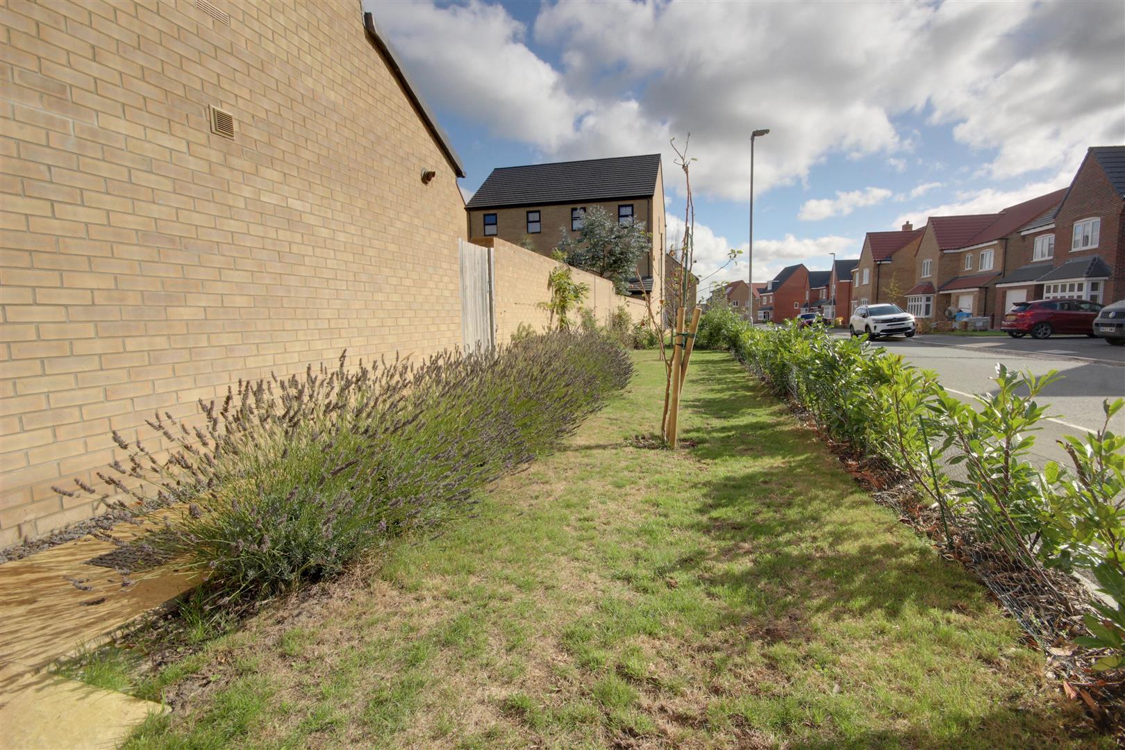 Field Maple Crescent, Beverley